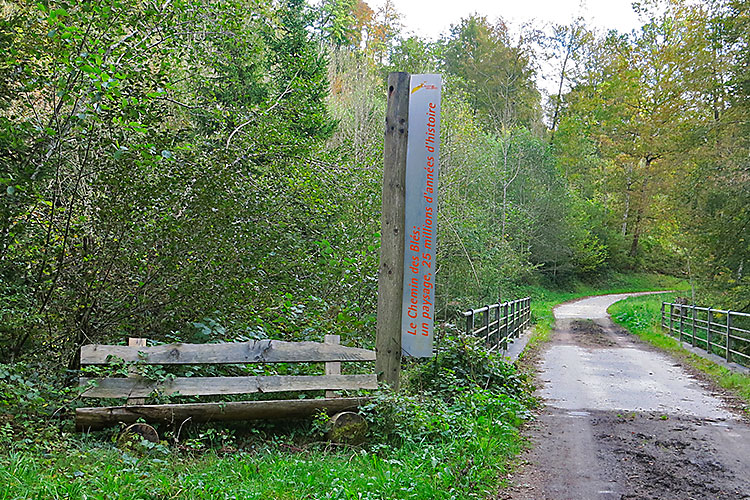 Chemin de Blés | Site thématique d'Oppens